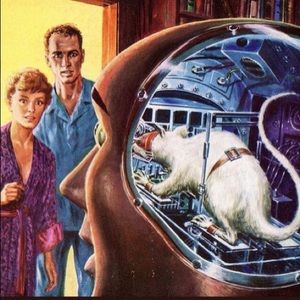 Meet your Posher, Stephen